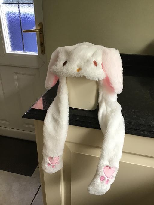 Buy & Sell Ravenstone North West Leicestershire - Photos for New Bunny Popup Ears Hat