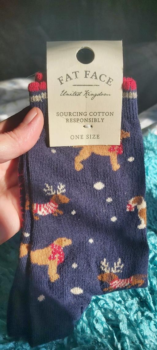 Buy & Sell Asfordby Hill Melton - Photos for Fat Face Christmas Dogs 🐕 🐶 🎄Socks