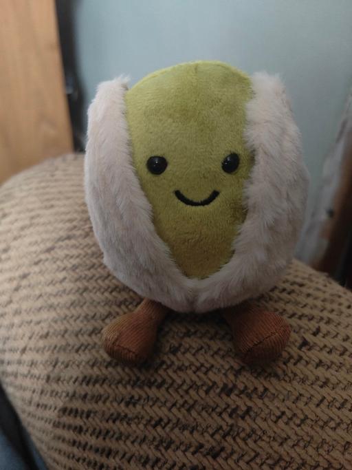 Buy & Sell Pwllheli Gwynedd - Photos for PISTACHIO PLUSH