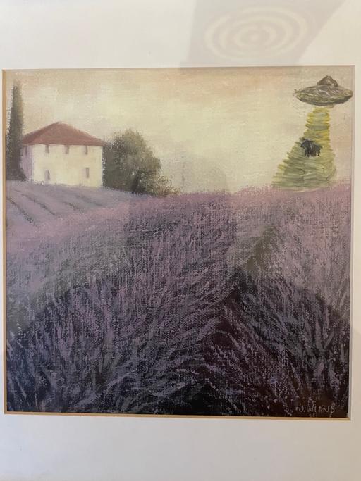 Buy & Sell Netherton Dudley - Photos for Photo frame