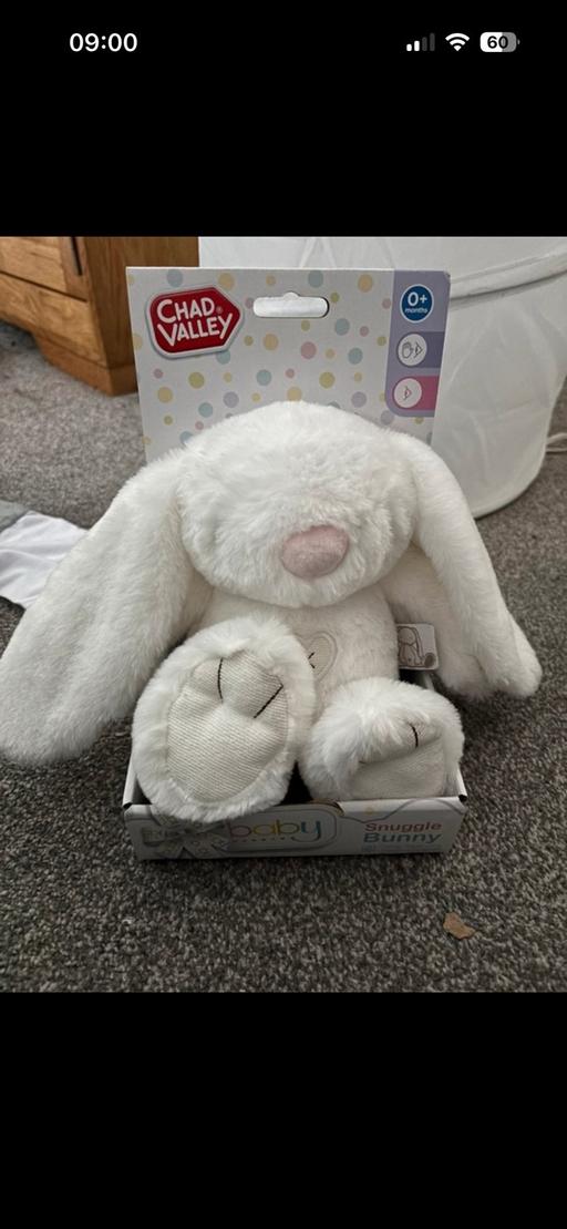 Buy & Sell Spa Common North Norfolk - Photos for Bunny