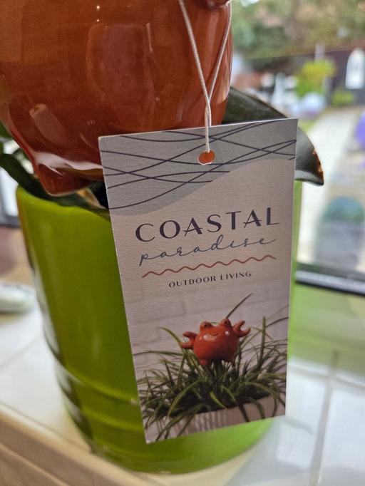 Buy & Sell Westgate-on-Sea Thanet - Photos for POT CRAB DECORATION
