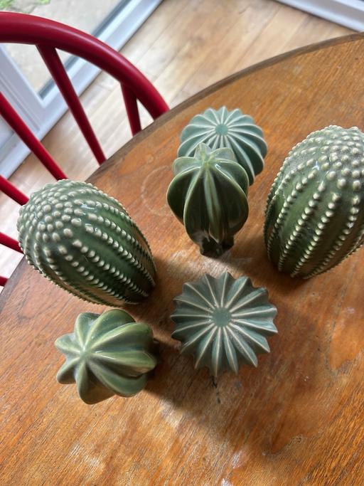 Buy & Sell South Quay East London - Photos for Deco cacti