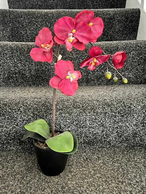 Buy & Sell West Bromwich Sandwell - Photos for Artificial red orchids