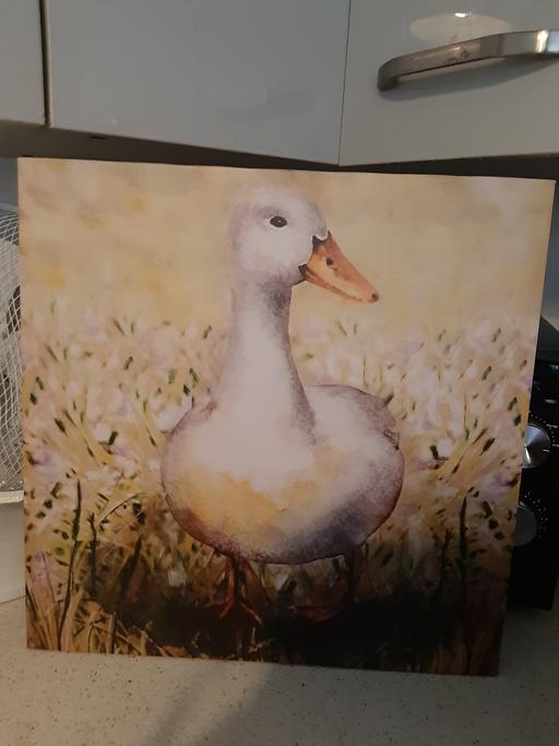 Buy & Sell South Hylton Sunderland - Photos for picture