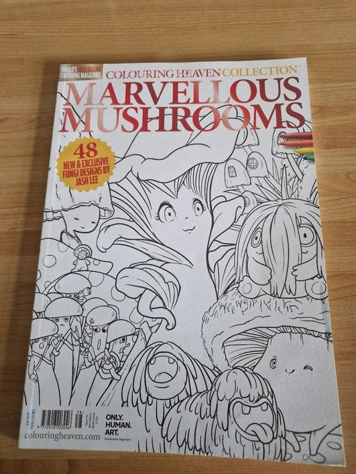 Buy & Sell Prescot Knowsley - Photos for New Adult colouring book