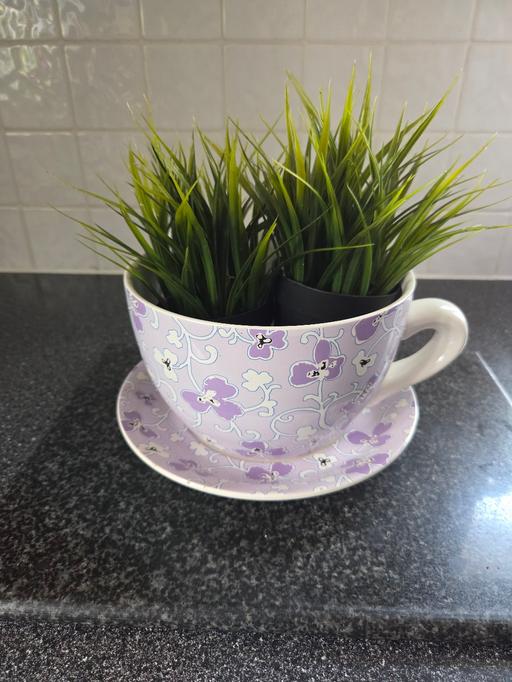 Buy & Sell Westgate-on-Sea Thanet - Photos for CUP & SAUCER PLANTER