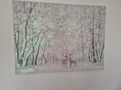 Buy & Sell Grange Park Saint Helens - Photos for reindeer winter Xmas canvas