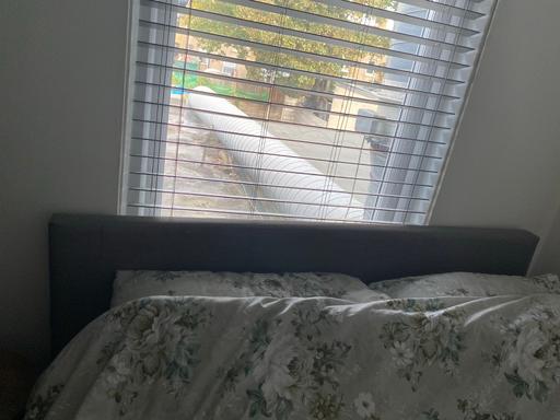 Buy & Sell Ilford Redbridge - Photos for Mattress and grey bed frame w/ storage
