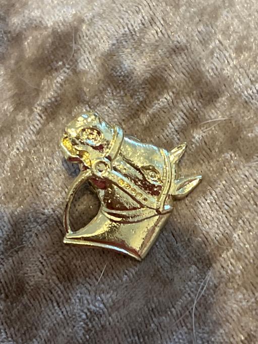Buy & Sell Rottingdean Brighton - Photos for Vintage pin badge