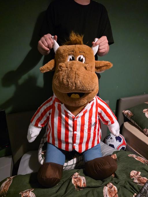 Buy & Sell Oldbury Sandwell - Photos for Giant Bullseye teddie