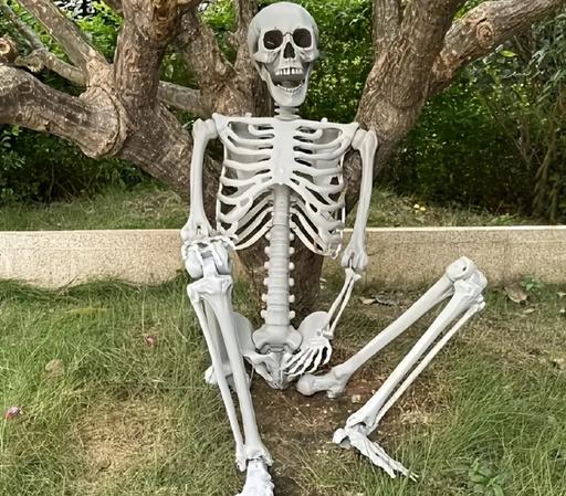Buy & Sell East Finchley North London - Photos for 90 cm Halloween skeleton- moveable decoration