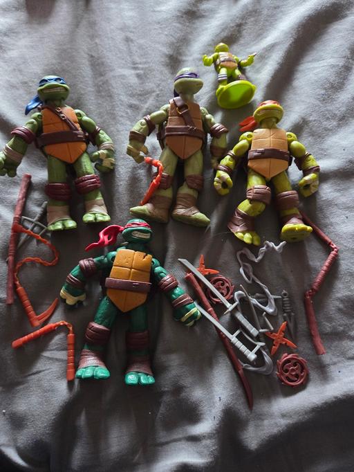 Buy & Sell Sheldon Birmingham - Photos for turtles