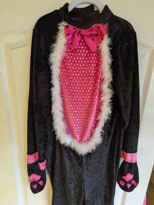 Buy & Sell Kingswinford Dudley - Photos for girls cat halloween costume 9-10
