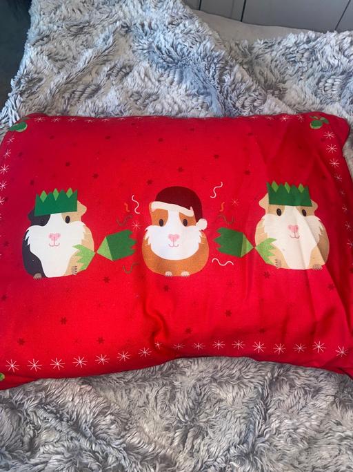 Buy & Sell Bilston Wolverhampton - Photos for Cushion