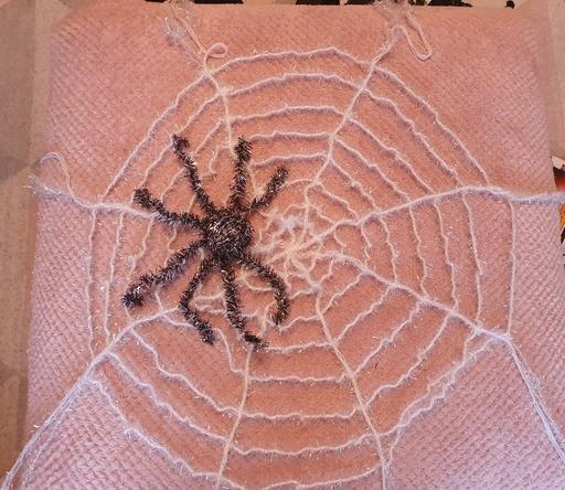 Buy & Sell Stainforth Doncaster - Photos for window spider Web and spider