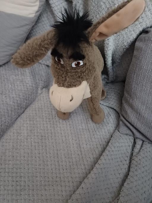 Buy & Sell Wickersley Rotherham - Photos for shrek's donkey
