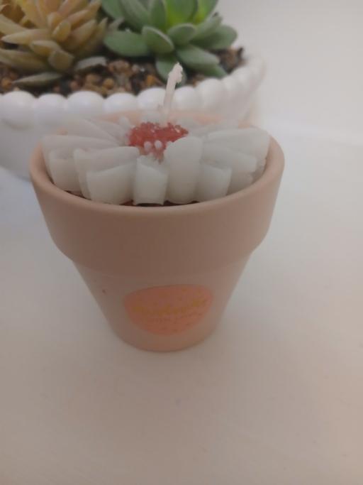 Buy & Sell Radcliffe Bury - Photos for Candle New