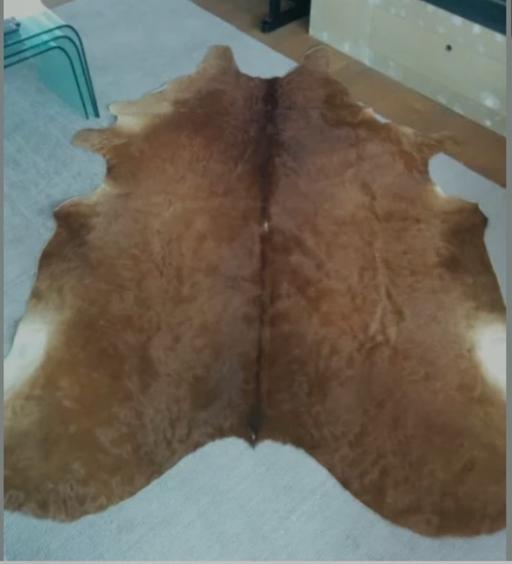 Buy & Sell Pentonville North London - Photos for Cow hide Argentinian rug
