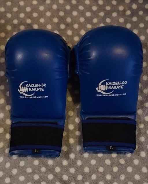 Buy & Sell Oldbury Sandwell - Photos for karate mits