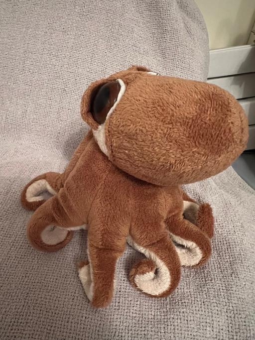 Buy & Sell Hetton-Le-Hole Sunderland - Photos for Suki The Octopus