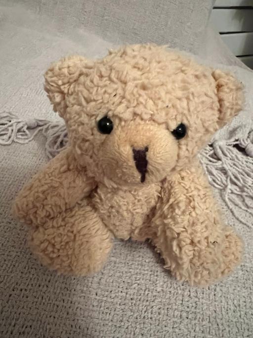 Buy & Sell Hetton-Le-Hole Sunderland - Photos for Jointed Bear ( New )