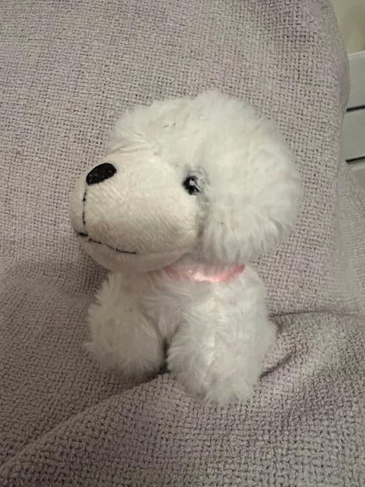 Buy & Sell Hetton-Le-Hole Sunderland - Photos for Dog Soft Toy