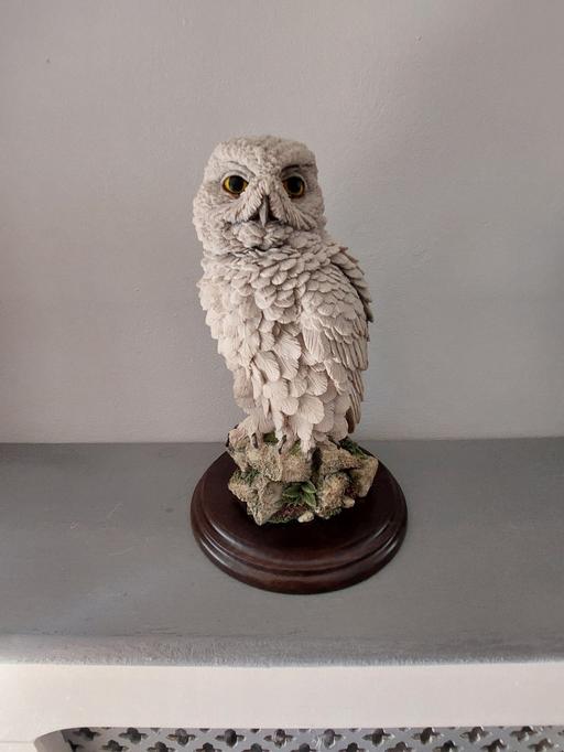 Buy & Sell Westgate-on-Sea Thanet - Photos for SNOWY OWL (COLLECTABLE)
