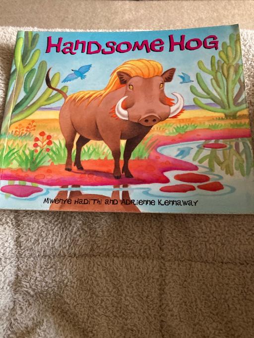 Buy & Sell Rushwick Worcester - Photos for Handsome hog