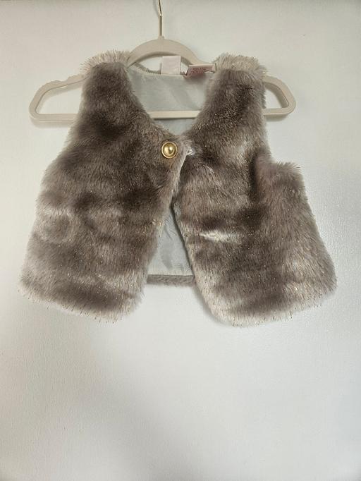 Buy & Sell Millbank Central London - Photos for Girls Grey Faux Fur Gilet with Gold Button