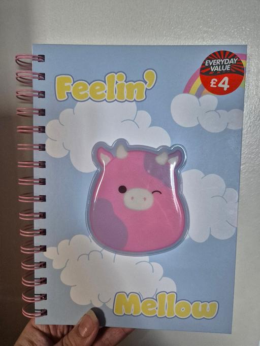 Buy & Sell Crumpsall Manchester - Photos for new Squishmallow Notebook