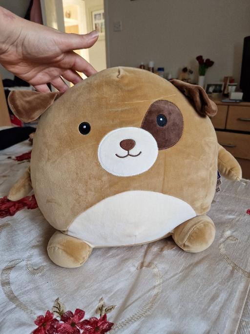 Buy & Sell Ramsgate Thanet - Photos for bn large dog squishy toy