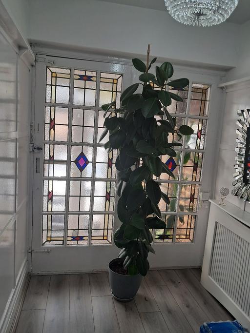 Buy & Sell Hamstead Industrial Estate Birmingham - Photos for LARGE RUBBER PLANT