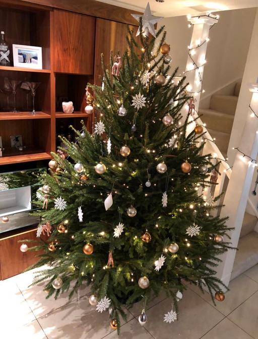 Buy & Sell Brondesbury North West London - Photos for Christmas decorations