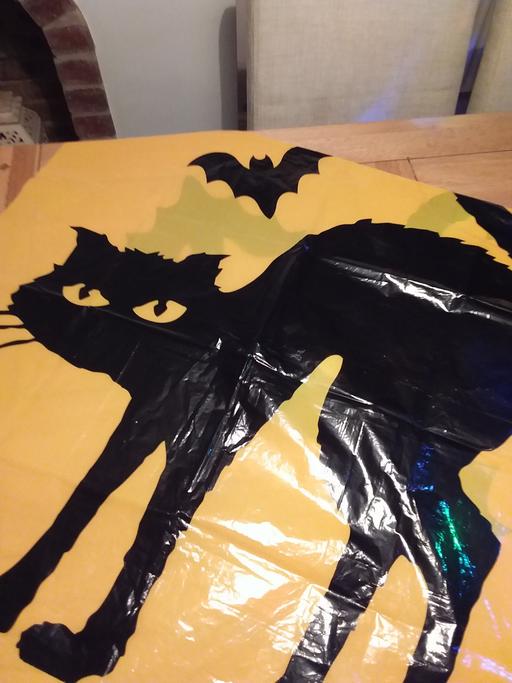 Buy & Sell Willenhall Walsall - Photos for Halloween Black Cat Poster