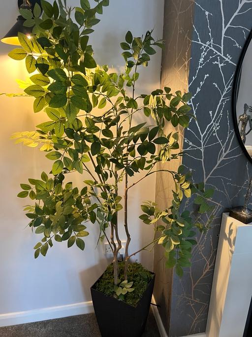 Buy & Sell Dawley Telford and Wrekin - Photos for Artificial Tree