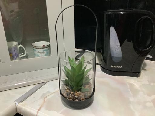 Buy & Sell Harborne Birmingham - Photos for Artificial plant