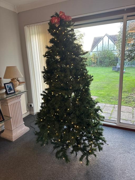 Buy & Sell Billericay Basildon - Photos for Christmas Tree