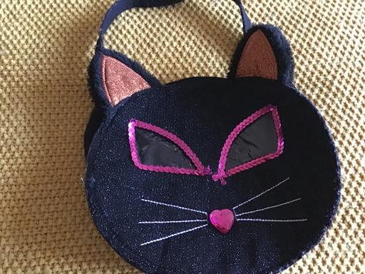 Buy & Sell Essington Wolverhampton - Photos for Halloween cat bag