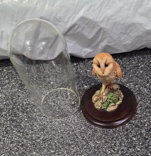 Buy & Sell Westgate-on-Sea Thanet - Photos for COLLECTABLE BABY BARN OWL