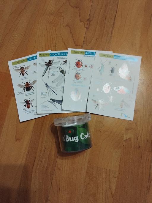 Buy & Sell Stow Heath Wolverhampton - Photos for New Bug Catcher & Cards.