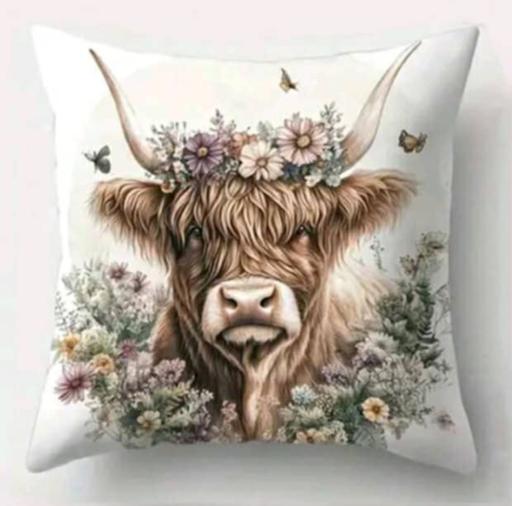 Buy & Sell Gainsborough West Lindsey - Photos for cushion