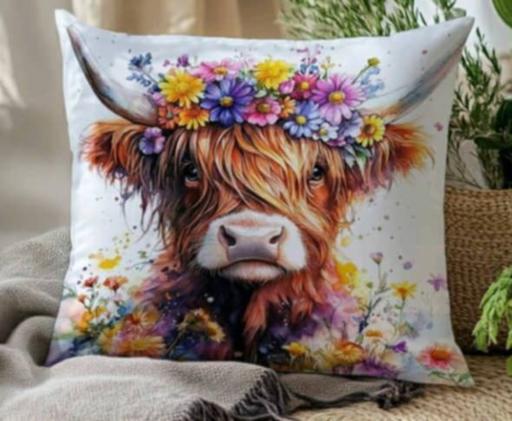 Buy & Sell Gainsborough West Lindsey - Photos for cushion