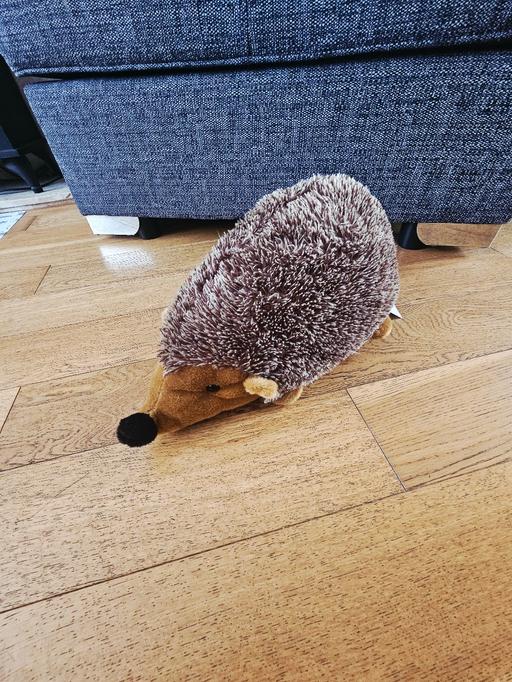 Buy & Sell Newton Doncaster - Photos for Large hedgehog toy.