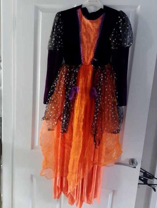 Buy & Sell Penn Wolverhampton - Photos for costume