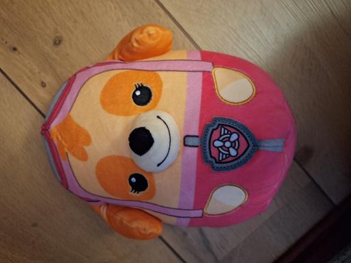 Buy & Sell Ettingshall Park Wolverhampton - Photos for Paw Patrol Teddy