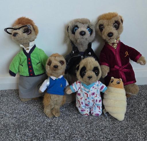 Buy & Sell Coventry City Centre Coventry - Photos for meerkats