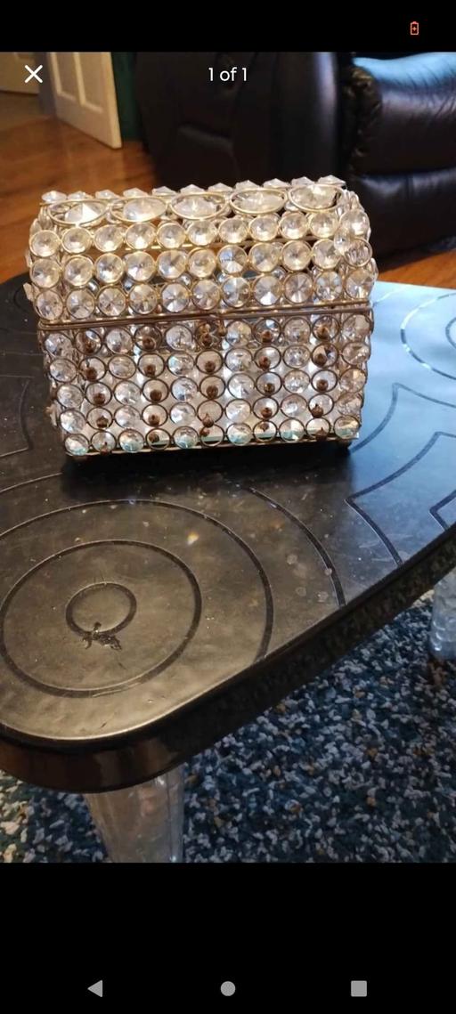 Buy & Sell Woodcross Wolverhampton - Photos for Diamanté chest ornament
