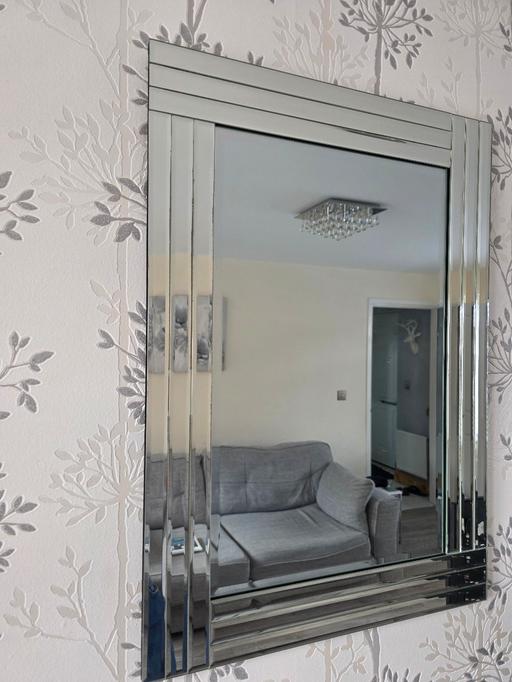 Buy & Sell Hednesford Cannock Chase - Photos for mirror ( x2 )