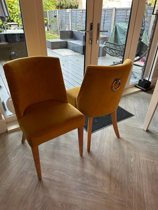 Buy & Sell Stoke Newington North London - Photos for Velvet dining /occasional chair